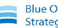 Training Blue Ocean Strategy